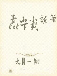 青山小说笔趣阁txt下载