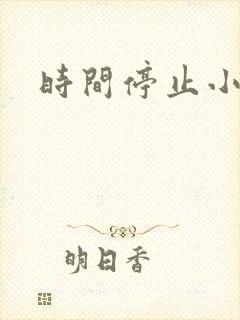 时间停止小说