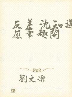 反差 沈知遇晏应笔趣阁封面