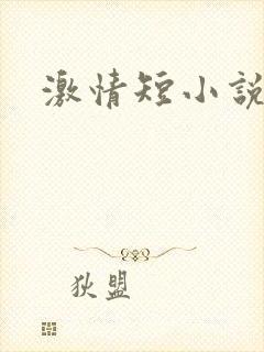激情短小说