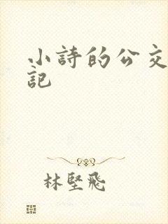 小诗的公交车日记