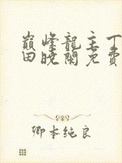 巅峰龙主丁长顺田晓兰免费阅读