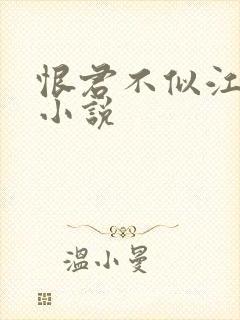 恨君不似江楼月小说