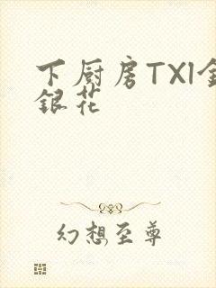 下厨房TXl金银花