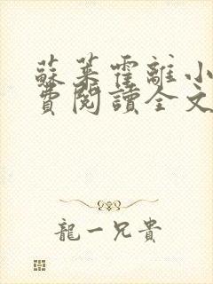 苏莱霍离小说免费阅读全文