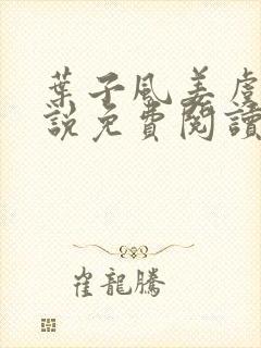 叶子风姜虞雪小说免费阅读封面