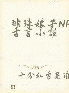 明珠娘子NPC古言小说