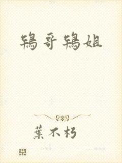 鸨哥鸨姐