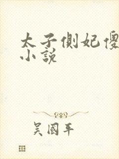 太子侧妃傻乎乎小说