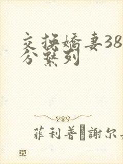 交换娇妻38部分系列封面