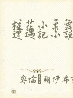 校花小柔舞蹈室遭遇记小说