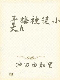 青梅被从小摸到大h