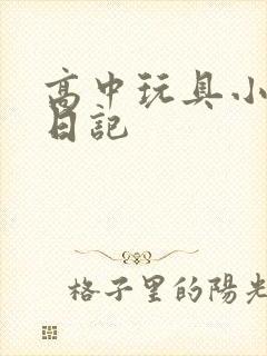高中玩具小诗的日记