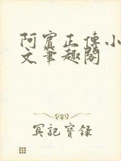 阿宾正传小说全文笔趣阁封面