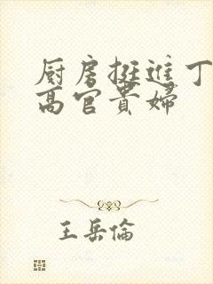 厨房挺进丁字裤高官贵妇