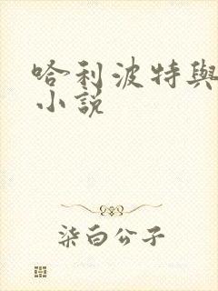 哈利波特与密室小说