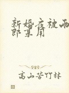 新婚夜被两个伴郎享用