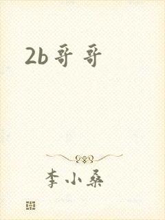 2b哥哥