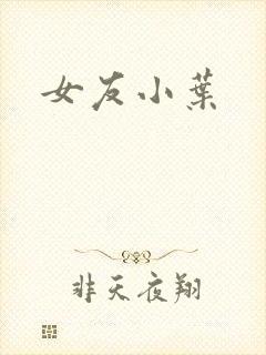 女友小叶