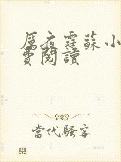 厉夜霆苏小汐免费阅读封面