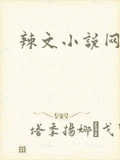 辣文小说网