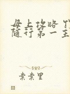 母上攻略 竹影随行第一主板