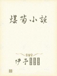 爆菊小说