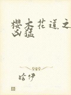 樱木花道之重生凶猛