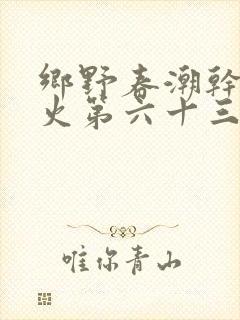 乡野春潮干柴烈火第六十三章