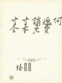 寸寸销魂何生祥全本免费