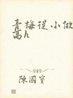 青梅从小做到大高h