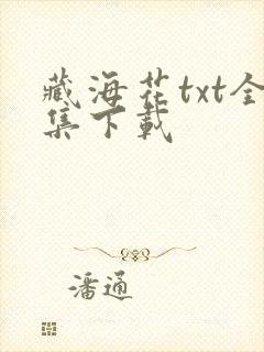 藏海花txt全集下载