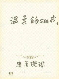 温柔的sm我