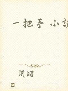 一把手 小说