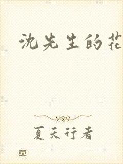 沈先生的花式封面