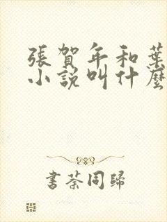 张贺年和叶繁姿小说叫什么名字