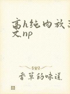 高h纯肉放荡h文np