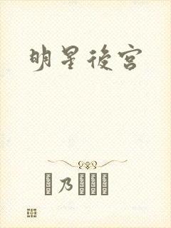 明星后宫