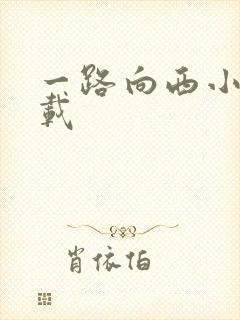 一路向西小说下载