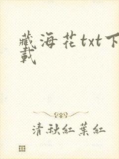 藏海花txt下载