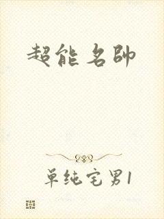 超能名帅封面