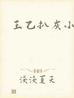 王乙扒灰小说封面