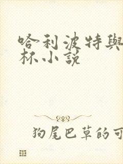 哈利波特与火焰杯小说