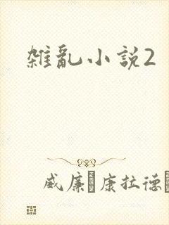 杂乱小说2