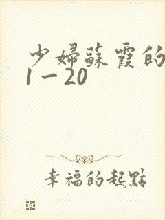 少妇苏霞的沉沦1一20