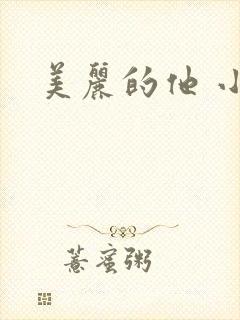 美丽的他 小说