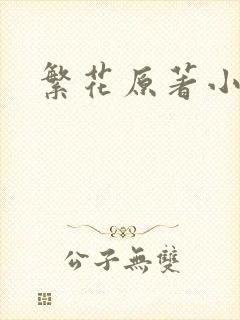 繁花原著小说