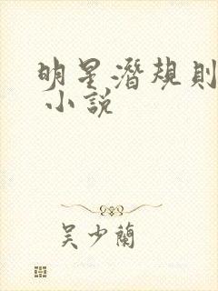 明星潜规则之皇 小说