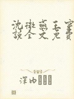 沈微燕王穿越小说全文免费阅读