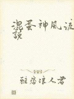 混蛋神风流史小说